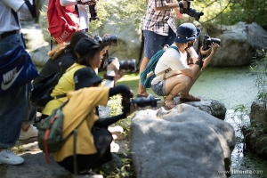摄影课堂，这次外拍刮了7级古风，镜头里的世界秒变成京城