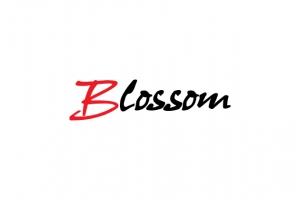 Blossom日本美发美容品牌